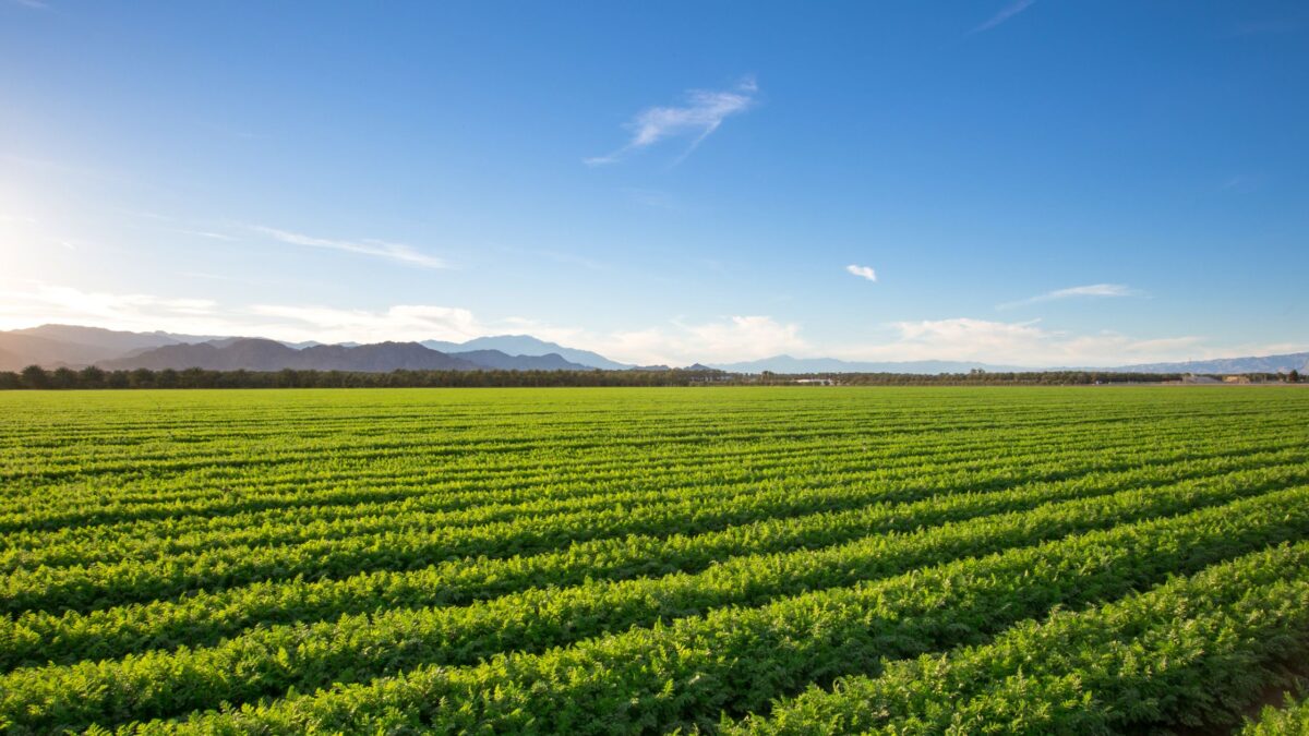 Fazendas e segurança do trabalho